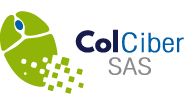 Colciber logo