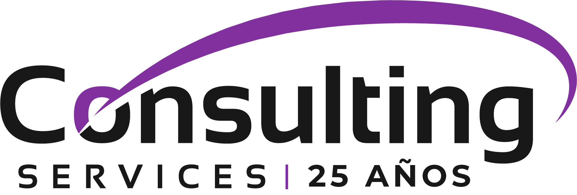 Consulting Services